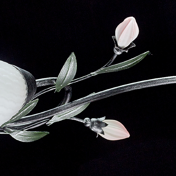 Потолочная люстра Верона 334013504