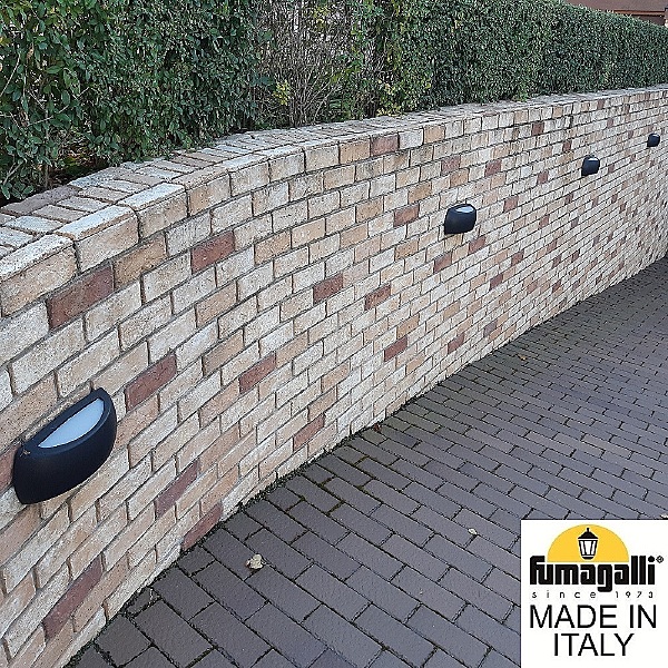 Уличный настенный светильник Francy 1A1.000.000.AYF1R