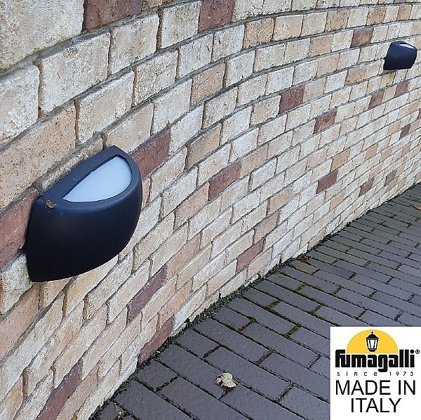 Уличный настенный светильник Francy 1A1.000.000.AYF1R