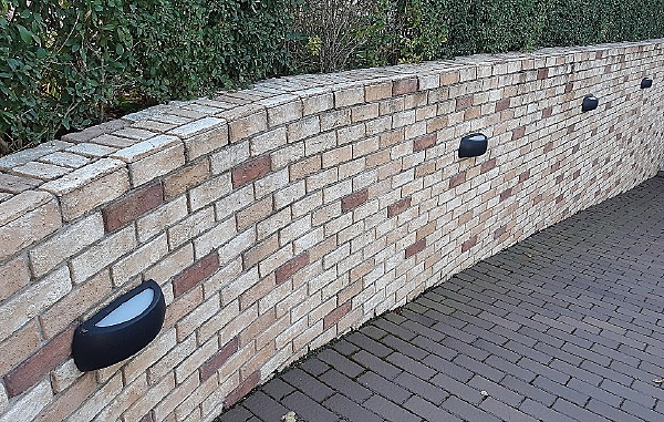 Уличный настенный светильник Francy 1A1.000.000.AYF1R