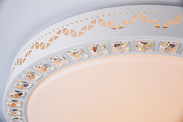 Светильник потолочный Ashley 10222/S LED