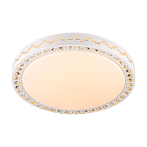 Светильник потолочный Ashley 10222/S LED