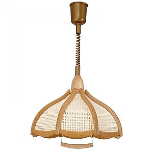 Светильник подвесной Eko 016/21