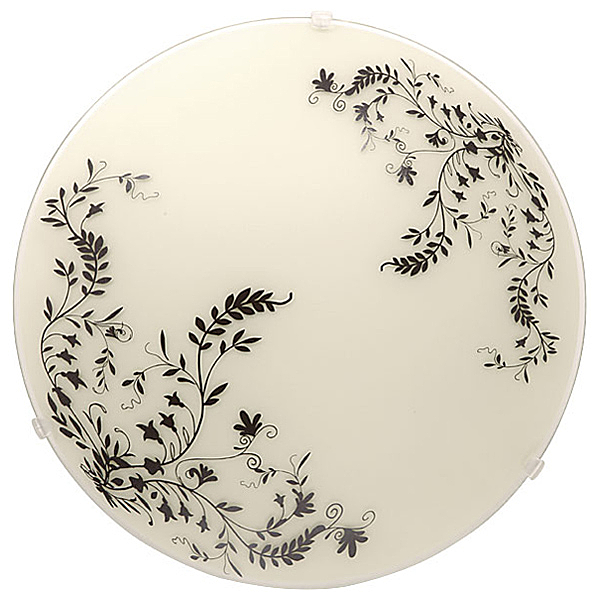 Настенно потолочный светильник Laura 3577