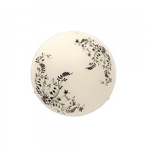 Настенно потолочный светильник Laura 3577