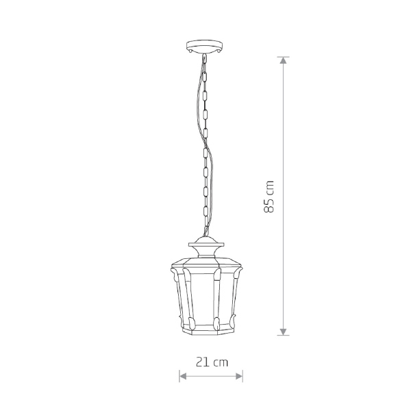 Уличный подвесной светильник Amur 4693