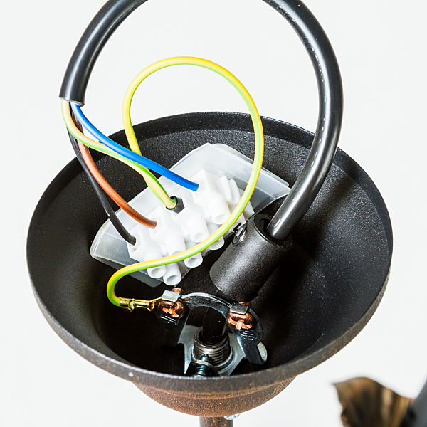 Подвесная люстра Plomyk 493