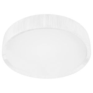 Светильник потолочный Alehandro 5343