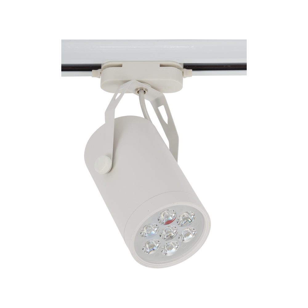 Store Led