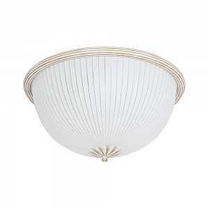 Светильник потолочный Baron 5993