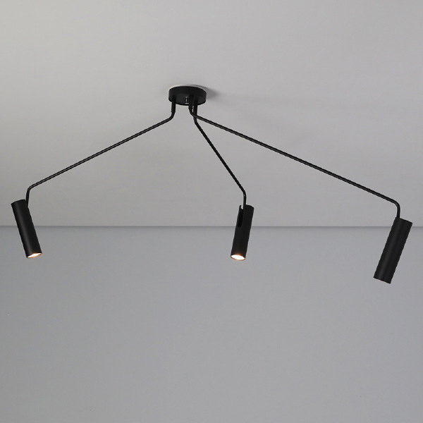 Светильник потолочный Eye Super 6504