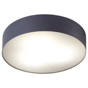 Светильник потолочный Arena 6725