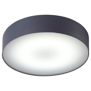 Светильник потолочный Arena 6727