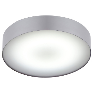 Светильник потолочный Arena 6771