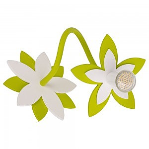Настенное бра Flowers 6897