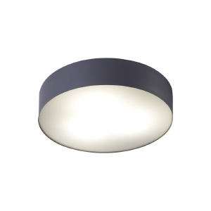 Светильник потолочный Arena 8833