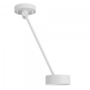 Светильник потолочный Cyclon 8891