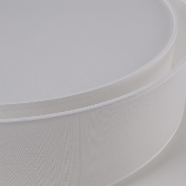 Светильник потолочный Mist 8943