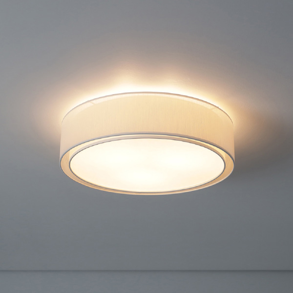 Светильник потолочный Mist 8943