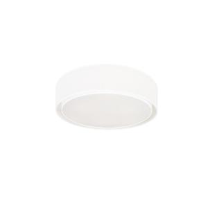 Светильник потолочный Mist 8943