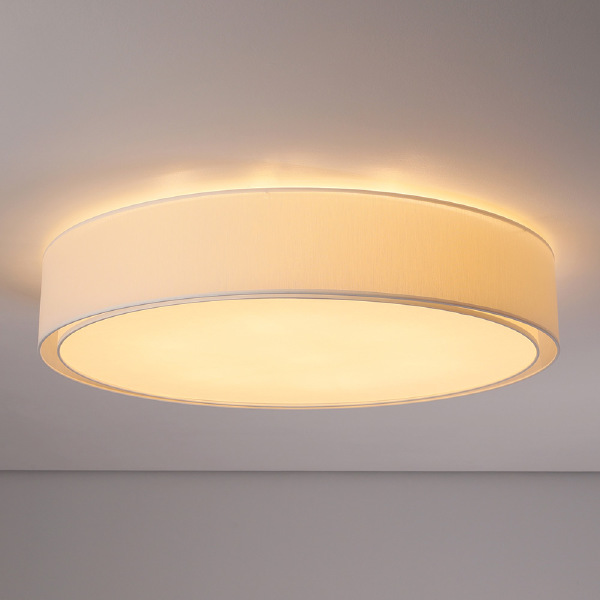 Светильник потолочный Mist 8944