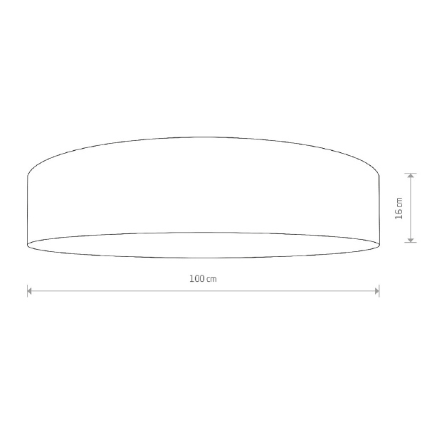 Светильник потолочный Laguna 8962