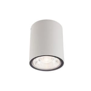 Уличные потолочные Edesa Led 9108