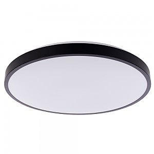 Светильник потолочный Agnes 9161