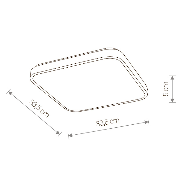 Светильник потолочный Agnes 9167