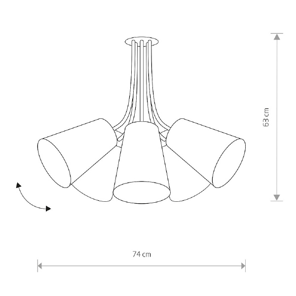 Потолочная люстра Flex Shad 9277