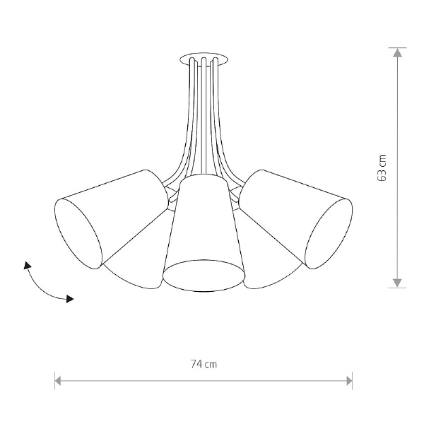 Потолочная люстра Flex Shad 9278