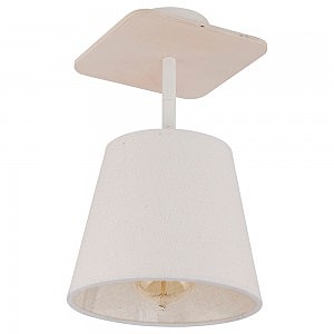 Светильник потолочный Awinion 9282