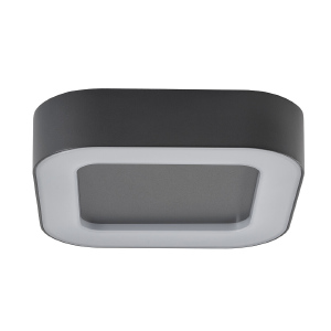 Светильник потолочный Puebla Led 9513