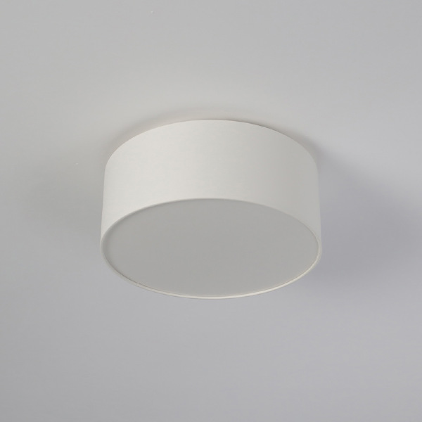 Светильник потолочный Cameron 9605