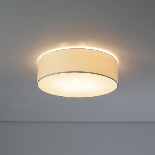 Светильник потолочный Cameron 9606