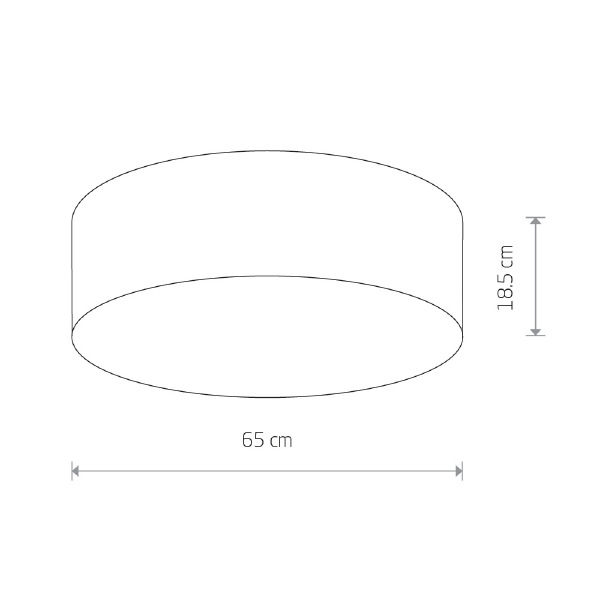 Светильник потолочный Cameron 9606