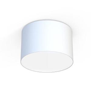 Светильник потолочный Cameron 9684