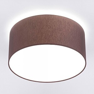 Светильник потолочный Cameron 9686