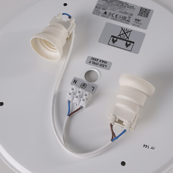 Светильник потолочный Cameron 9687