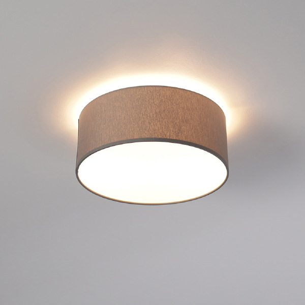 Светильник потолочный Cameron 9687