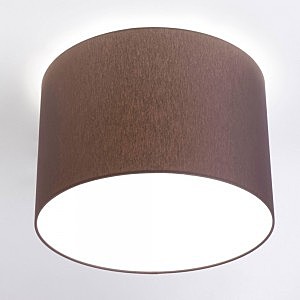 Светильник потолочный Cameron 9688