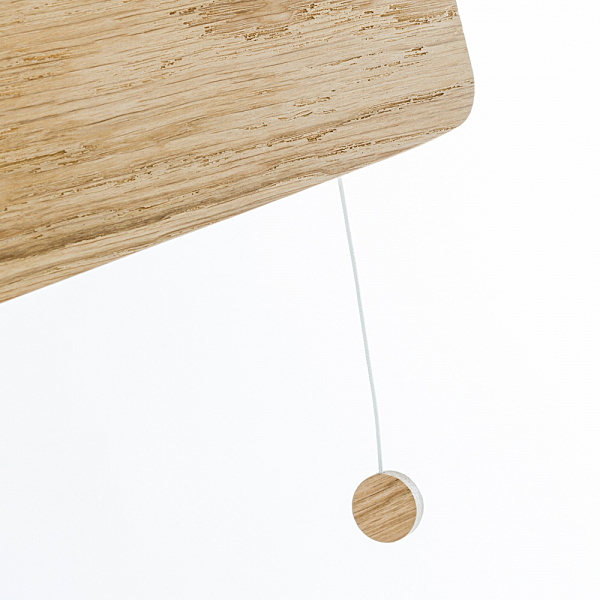 Светильник подвесной Oslo 9698