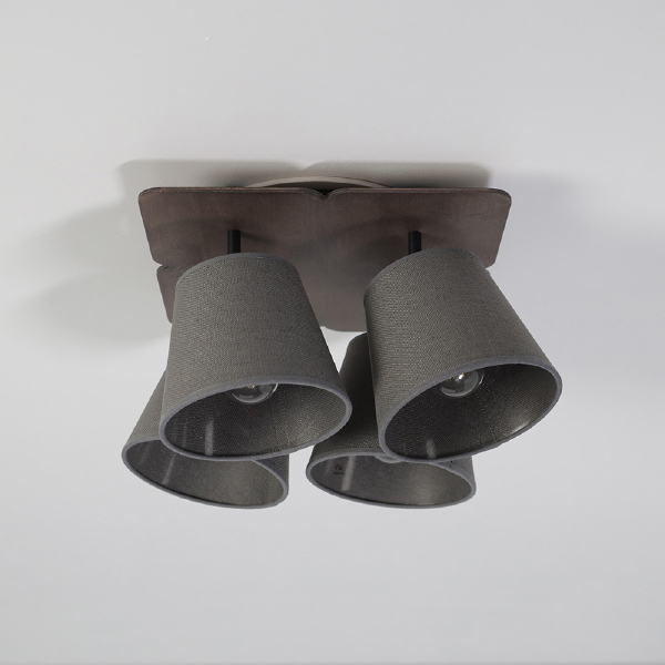 Потолочная люстра Awinion 9716