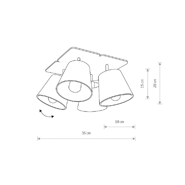 Потолочная люстра Awinion 9716