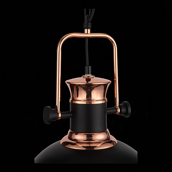 Светильник подвесной Lanterio SL404.403.01
