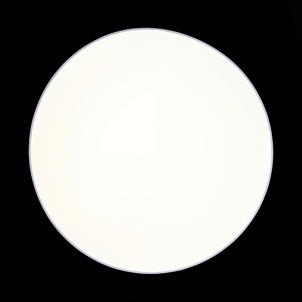 Светильник потолочный Fella SL417.512.01