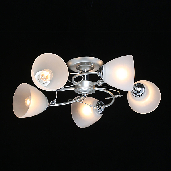 Потолочная люстра Нежность 676013205