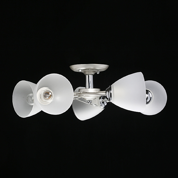 Потолочная люстра Нежность 676013205