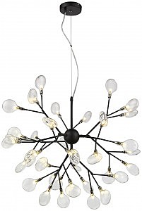 Подвесная люстра Fiorita WE241.36.023