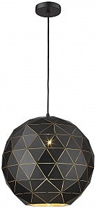 Светильник подвесной Delfio WE261.01.026